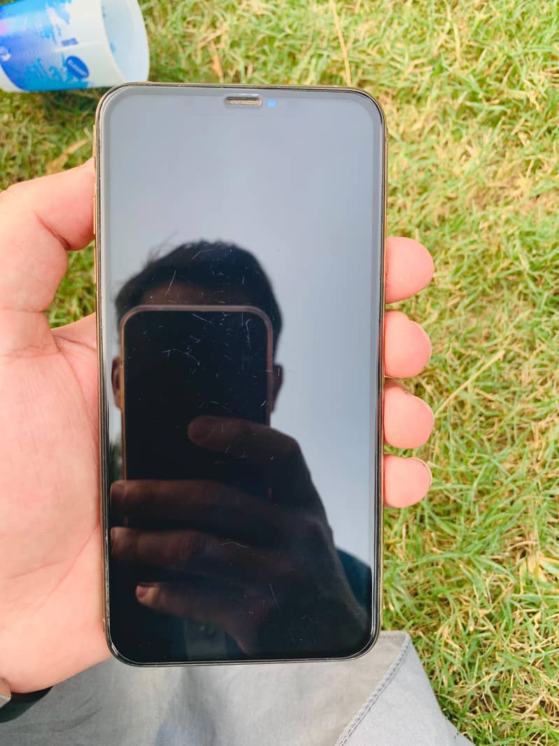 Apple iPhone XS Max 1