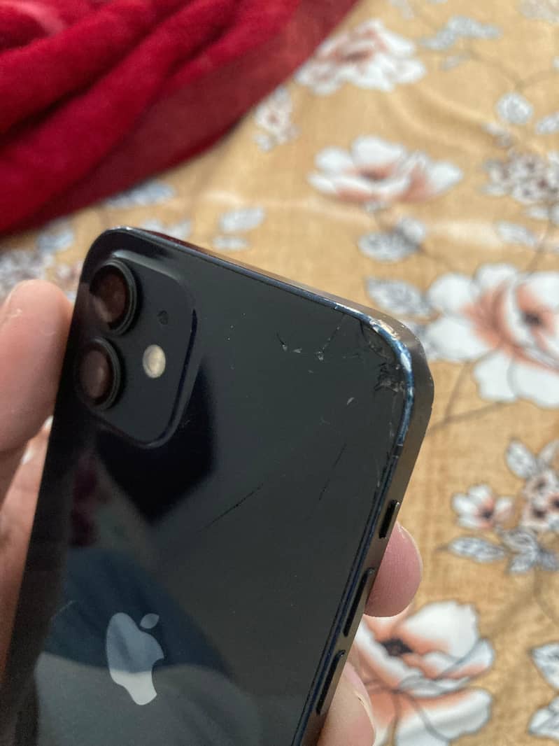 Apple iPhone 12 1