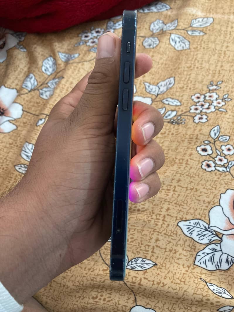 Apple iPhone 12 5
