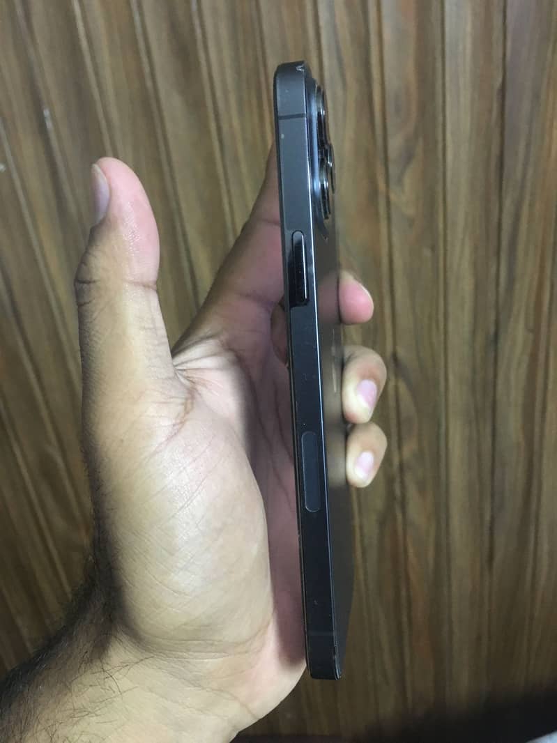 Apple iPhone 13 Pro Max 3