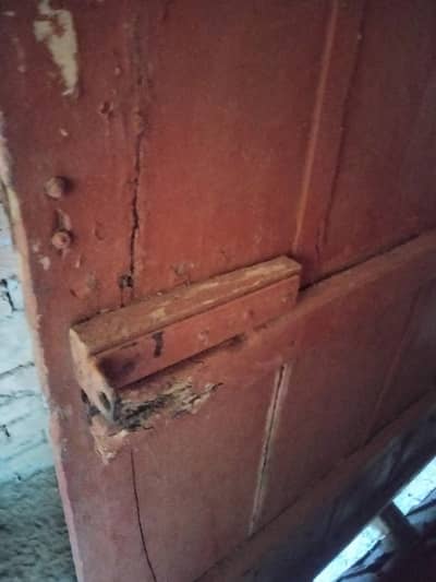 wood Door
