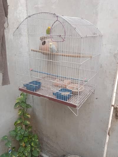 paiyer for sell and cag 03162637031