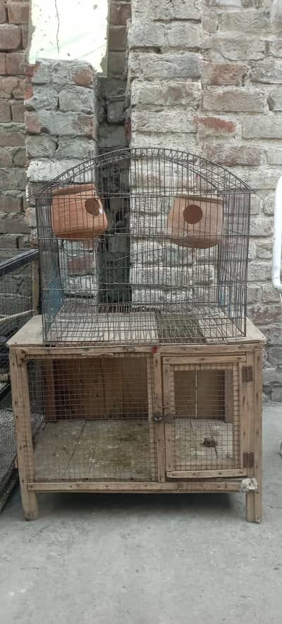 brids cage for sale