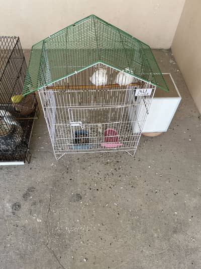 eno red eyes coctail pair full ok