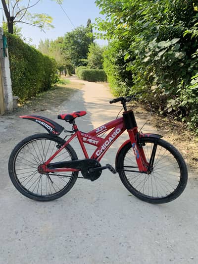Bicycle for sale