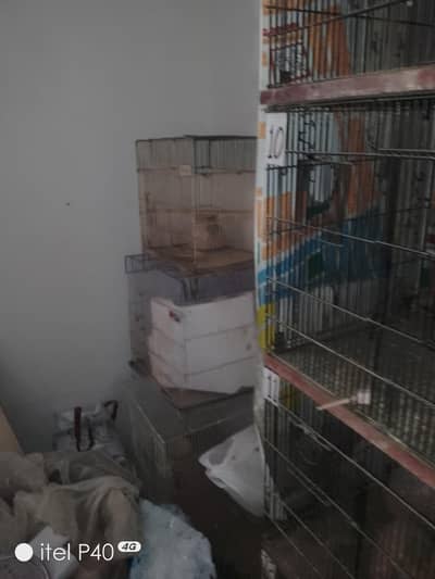 Heavy cage for sell 10k each 03313570832