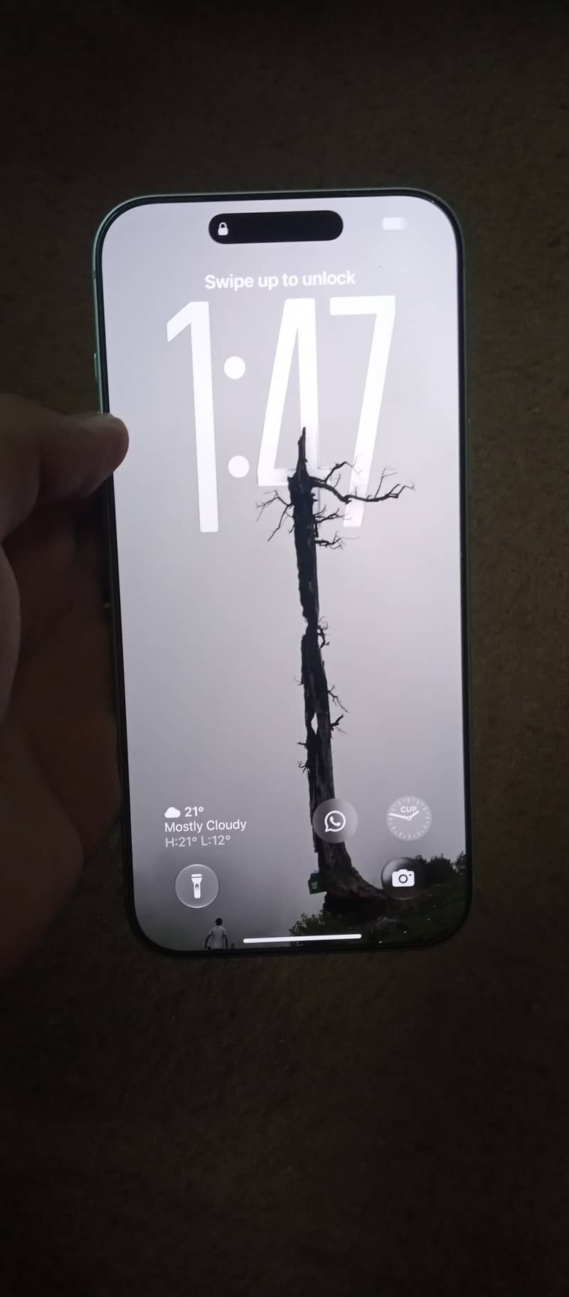 Apple iPhone 17 Pro Max 3