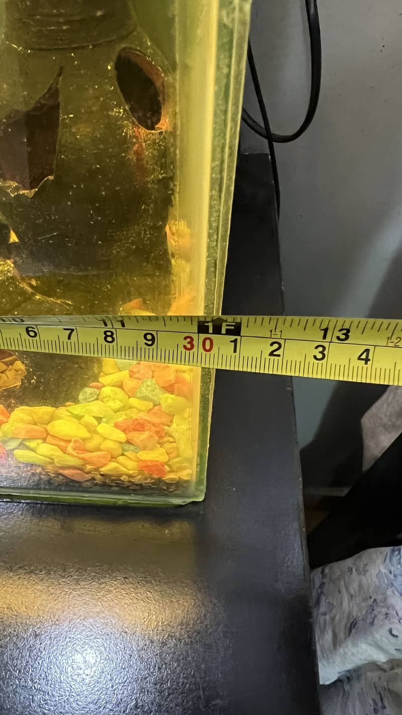 Fish Aquarium 6