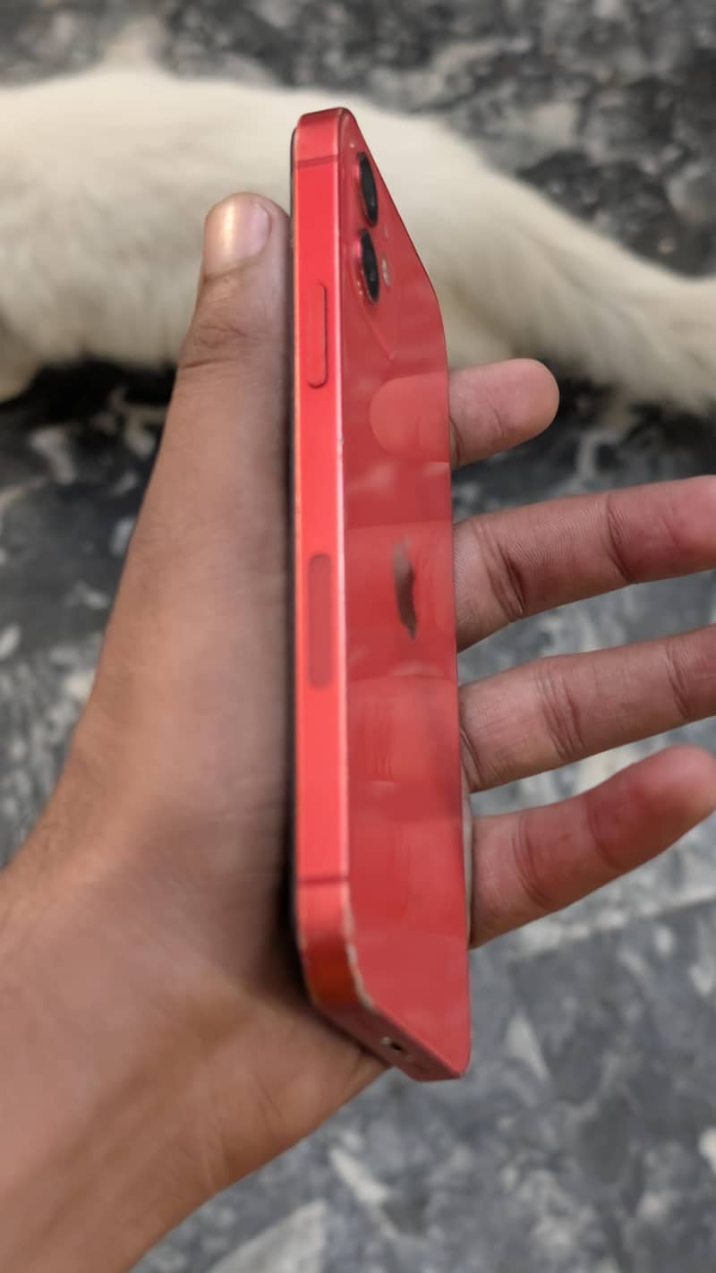 Apple iPhone 12 5