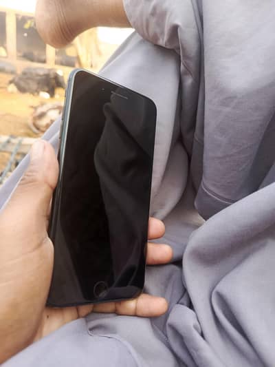 i phone 7+