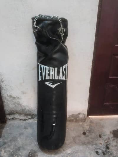 Punching bag with gloves