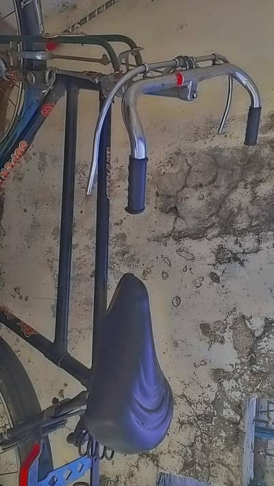 Sohraab 24 inch bilkul lush