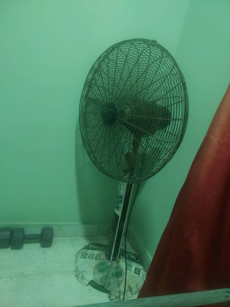 Need and Clean Condition 0