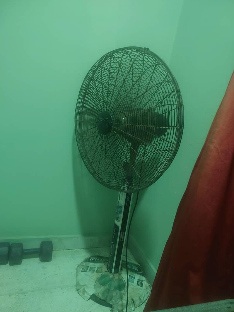 Need and Clean Condition 1