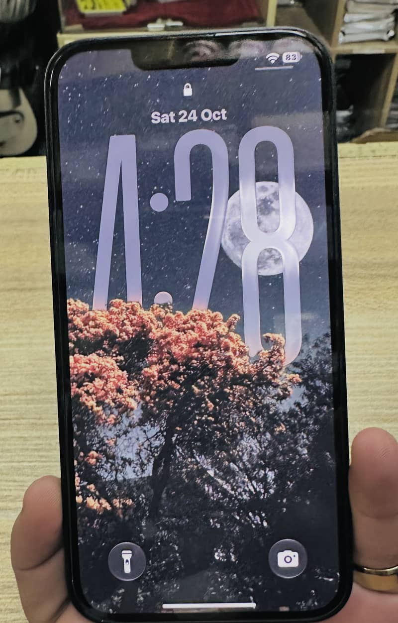 Apple iPhone 16e 4