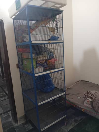 Bird cage available