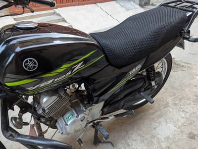 Yamaha YB 125Z  2023/ 24 Model
