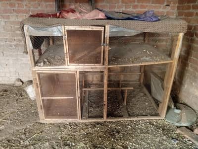 ek murga aur ek cage price rahat hai