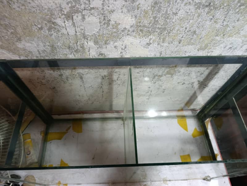 Fish aquarrium 0