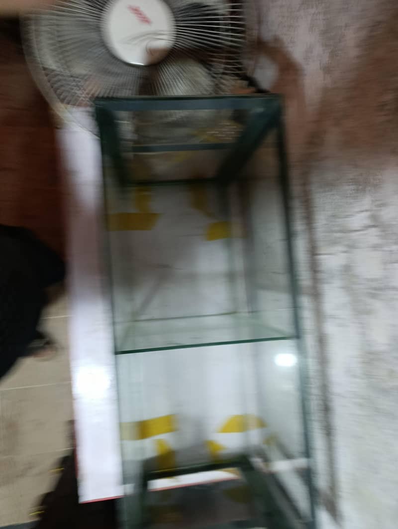 Fish aquarrium 1