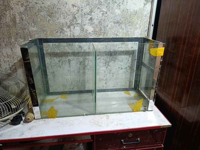 Fish aquarrium 3