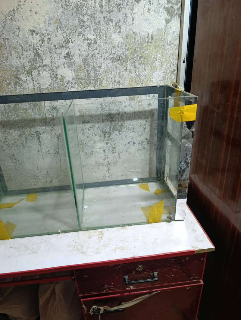 Fish aquarrium 4