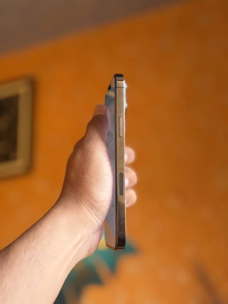 Apple iPhone 13 Pro Max 1