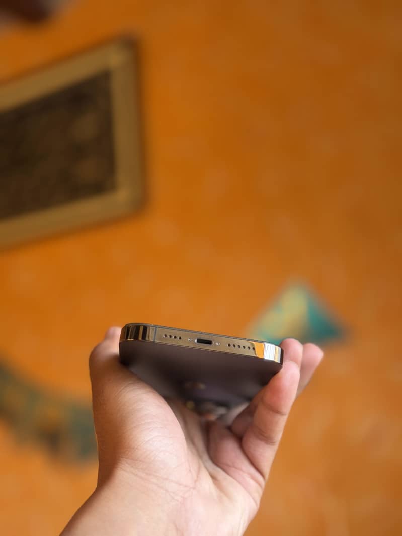 Apple iPhone 13 Pro Max 2