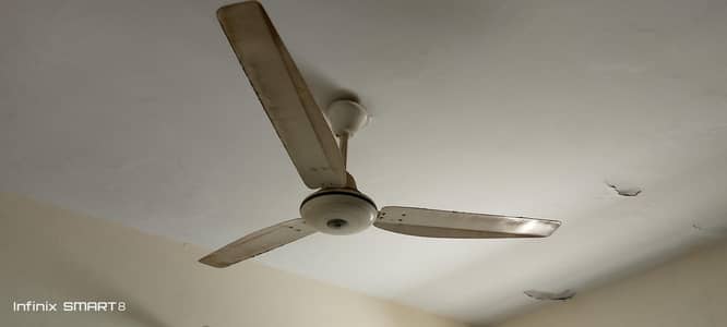 pak fan 56 size pure copper