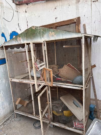 big size cage