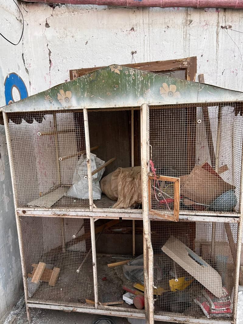 big size cage 1