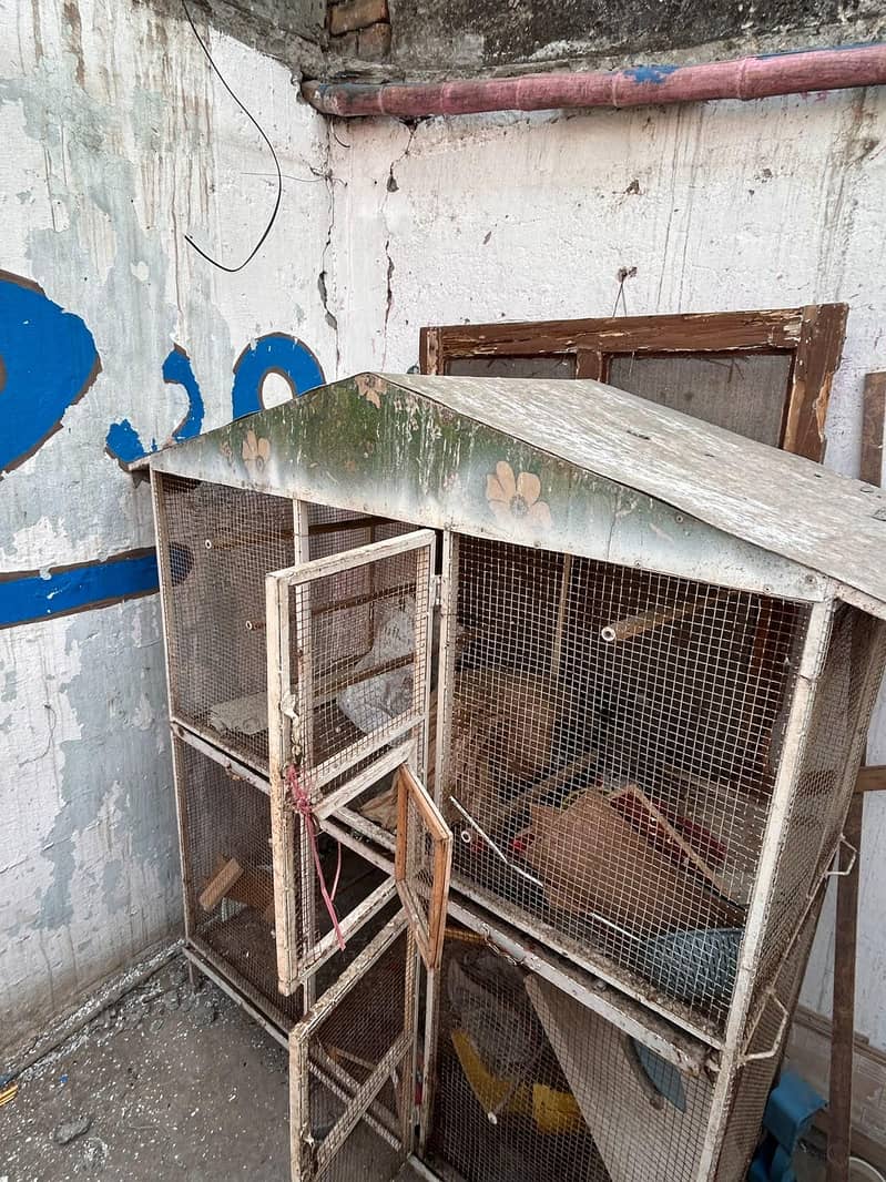 big size cage 2