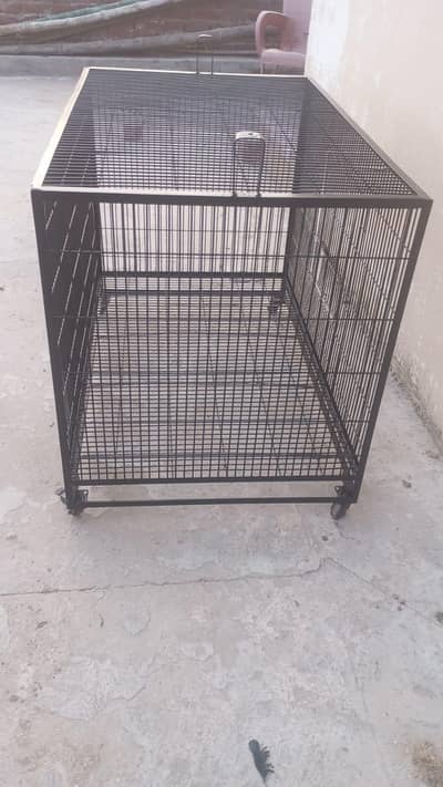 cage for bird