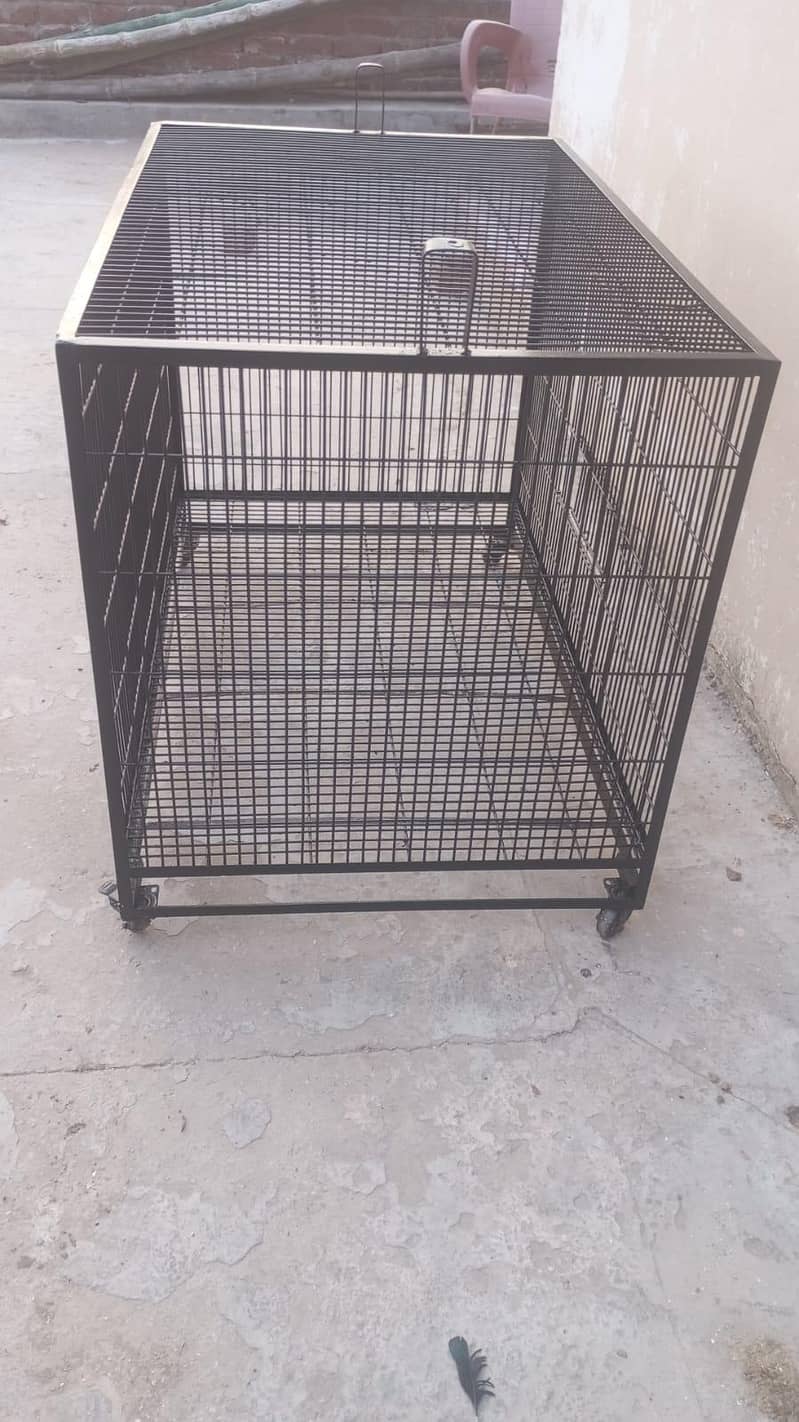 cage for bird 0