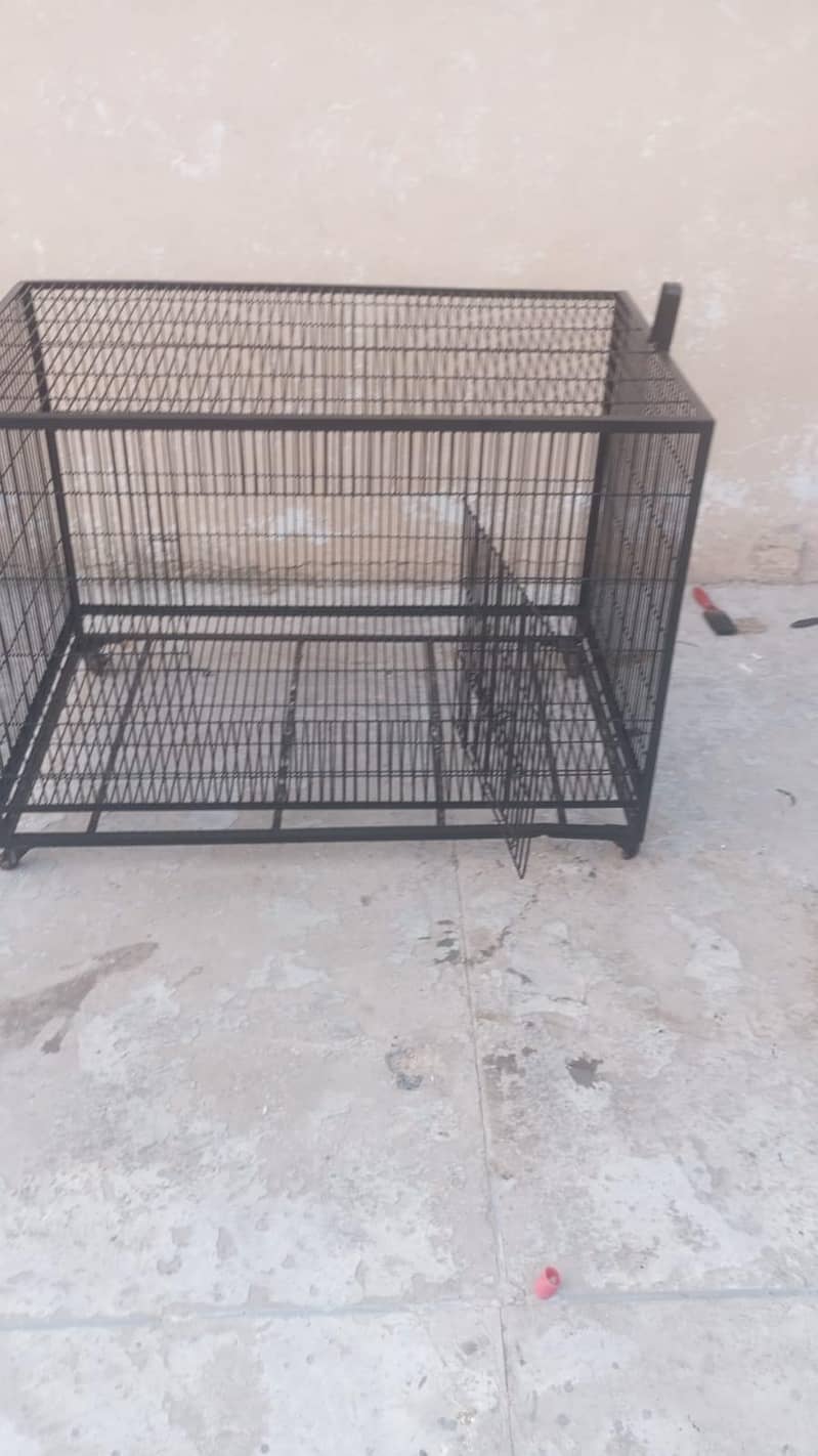 cage for bird 1