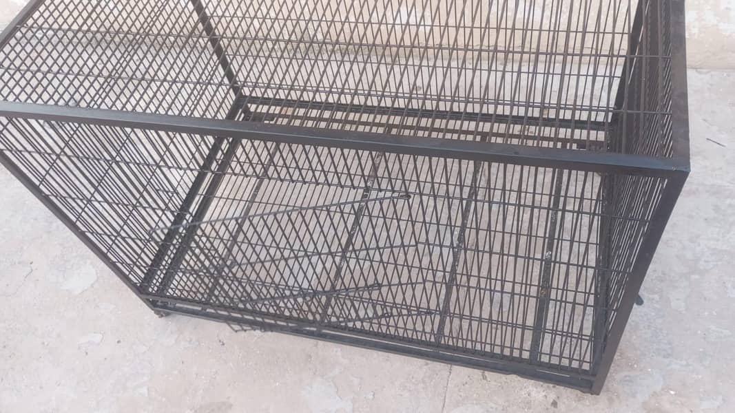 cage for bird 4
