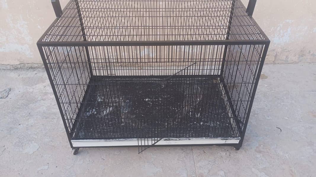 cage for bird 5
