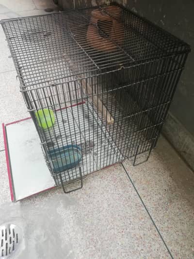 Parrot Cage for sale 03134050681