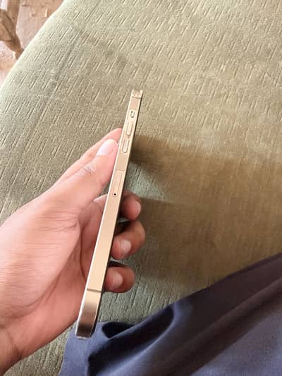 Apple iPhone 12 Pro Max