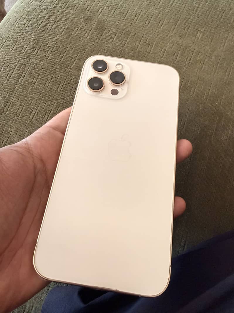Apple iPhone 12 Pro Max 1