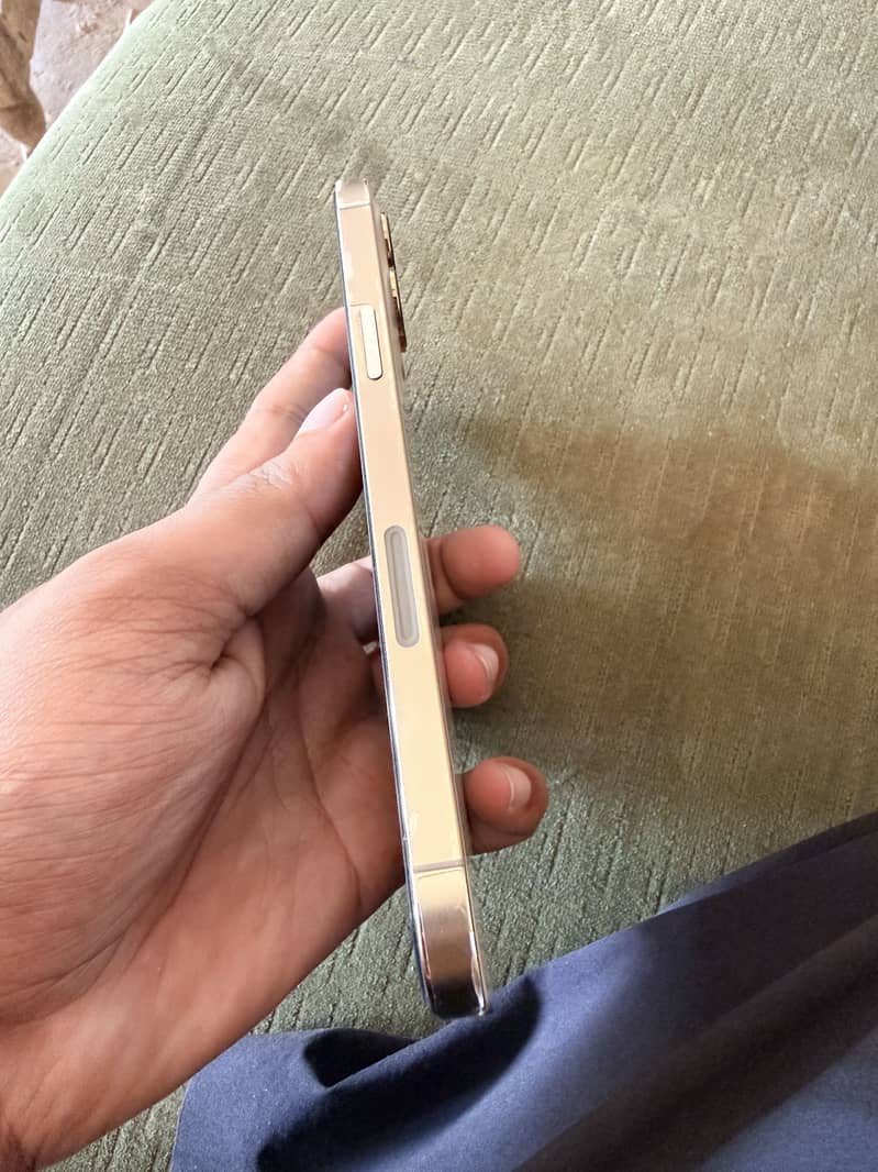 Apple iPhone 12 Pro Max 2