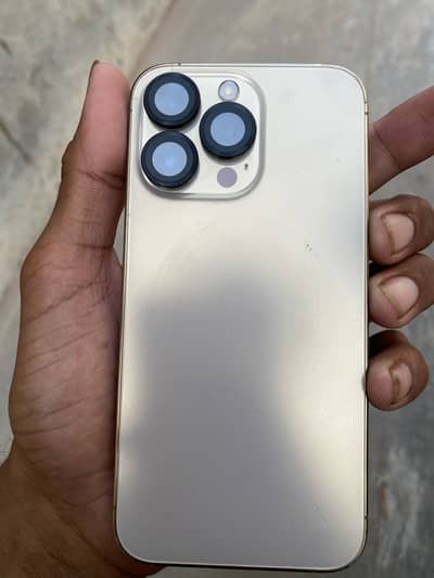 iPhone 13 Pro case need