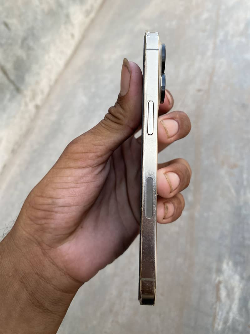 iPhone 13 Pro case need 1