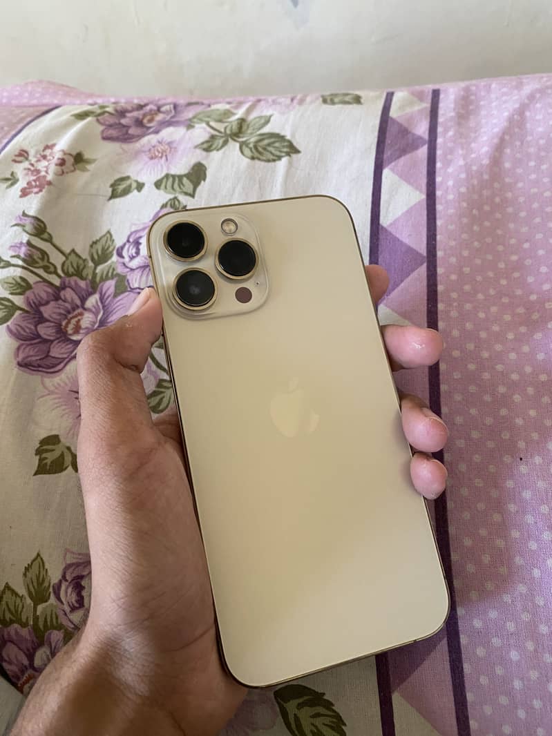 Apple iPhone 13 Pro Max 0