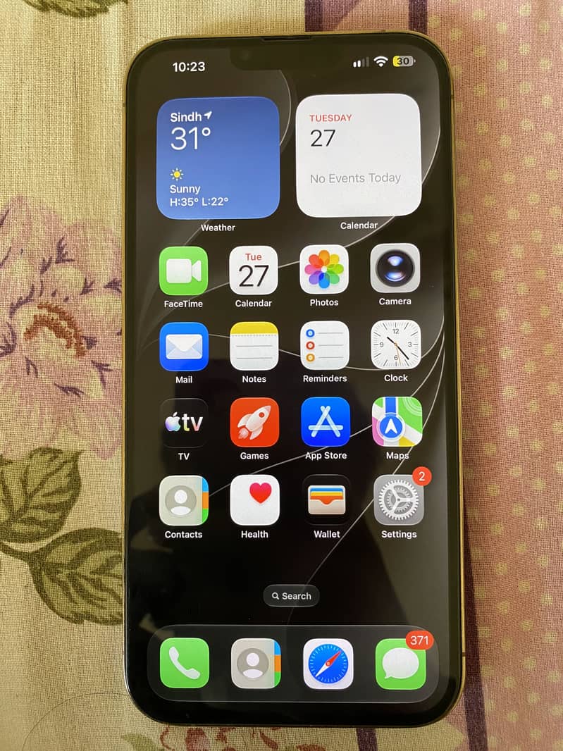Apple iPhone 13 Pro Max 1