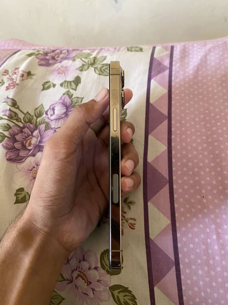 Apple iPhone 13 Pro Max 2