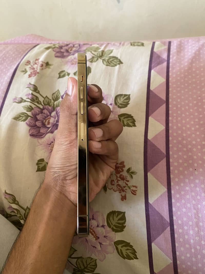 Apple iPhone 13 Pro Max 3
