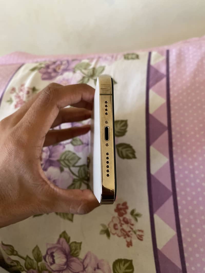 Apple iPhone 13 Pro Max 4