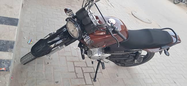 ybr g 125