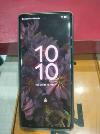 Google Pixel 6 Pro